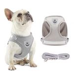 Anlitent Comfort No Pull Dog Vest Harness and Lead Set Escape Free, Breathable Dog Vest Service Harnesses for Puppy Seat Belt for Puppies Small Puppies Outdoor Easy Comtrol Large