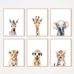 Safari Nursery Wall Art Decor Set o