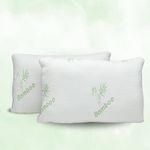 Sleeping Bed Queen Size Pillow 2 Pack Made in Canada for Side, Back & Stomach Sleepers | Bamboo Premium Hotel Quality Cover Cooling Microgel Filling Supportive Pillow - 20"X30"