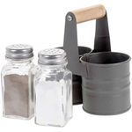 Glass Salt and Pepper Shakers with Metal Storage Stand