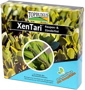 TOPBUXUS X