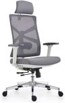 HOLLUDLE Ergonomic Office Chair wit