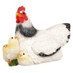 The Decorshed Hen Family for Garden Decor, Home Decor, Room Decor