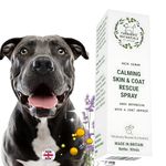 FurBabies Lavender Multipurpose Pet Skin Serum Oil - Detangling, Flea Repellant | Deodorising Perfume | Hair Conditioner | Cats & Dogs with Sensitive Coats | Knot Remover, Skin Barrier Repair | 50ml