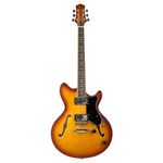 Semi Hollow Electric Guitars