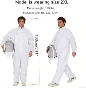 Slide 5