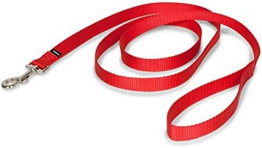 PetSafe Nylon Dog Leash - Strong, Durable, Traditional Style Leash with Easy to Use Bolt Snap - 3/4 in. x 6 ft., Red