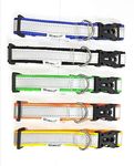 Reflective Dog Collar 1" for Street Dogs | Durable in All Weather, Adjustable, Soft and Easy to Put on Dogs| Pack of 5 pcs | Color- Multicolor