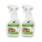 Potassium Soap Spray - 2 Pack - Horticultural Soap - Organic Insecticide - Aphid Control - Pest/Bug Spray 2x0.5L