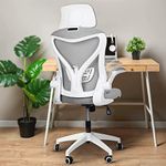 DROGO Premium Ergonomic Office Chair for Work from Home, High Back Computer Chair with Mesh, Flip-up Armrest, Recline, Adjustable Seat & Lumbar Support Mesh Chair for Office (Marshal Pro Grey)