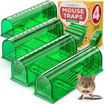 Humane Catch and Release Mouse Trap