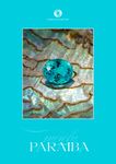 Purely Paraiba - A book about the rare gemstone Paraiba Tourmaline by the gem and jewellery designer Doris Hangartner.