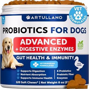 Probiotics for Dogs - Support Gut Health, Itchy Skin, Allergies, Immunity, Yeast Balance - Dog Probiotics and Digestive Enzymes with Prebiotics - Reduce Diarrhea, Gas - 120 Probiotic Chews for Dogs