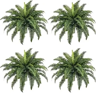 FOREST PRI