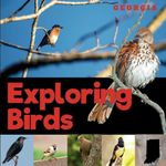 Exploring Birds of Georgia: A Simple Picture Guide Book for Beginner Birdwatching and Identification