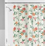 DRAPERI PEVA Shower Curtains for Bathroom – Peaches Design Plastic Curtain with FREE Matching 12 Hooks for Washroom Partition, Shower Screen, Glass Door & Outdoor Balcony, Waterproof, Size 200x180cm