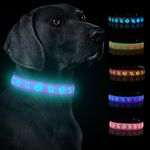 LeZampa Light up Dog Collar Rechargeable, LED Dog Collar Light with 15-in-1 Modes, Night Safety Flashing Dog Collar Lights for the Dark – Adjustable Dog Light up Collar (Medium, Pink)