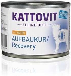 Kattovit R