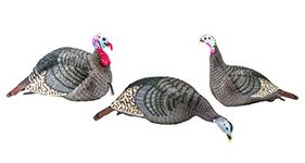 STRUT-LITE Flock Pack (Jake/Hen/Feeding Hen)
