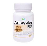 Biotrex Nutraceuticals Astragalus 500 mg, 60 Veg Capsules, Dietary supplement to strengthen Immune System, nutritional supplement, multivitamins, vitamin for men, women and adults, health supplements