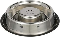 NEATER PET BRANDS Slow Feed Bowl St