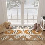 Color&Geometry Door Mats, 24"x36" Front Door Rugs for Entryway Indoor, Non Slip Washable Entry Rugs for Inside House 2x3, Absorbent Floor Mat Entryway Rug