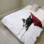 Waterproof Dog Blanket, Pet Pee Proof Fleece Sherpa Throw Blanket for Sofa Couch Bed Protection, Washable Reversible Furniture Protector Cover 203 x 152 cm Buffale Red/Off White