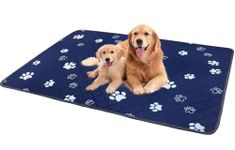 WapaW Super Absorbent Washable Reusable Pee Pads –100% Waterproof Dog Pee Pad Protects Against Urine Leakage Non-Slip Grip Prevents Slipping & Bunching. (Blue, 70 x 100 CM)