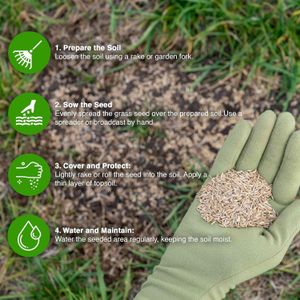 GroundMaster Premium Lawn Grass Seed 1.5kg – Hard Wearing, Fast Germination, Pet-Friendly, Covers 90m²