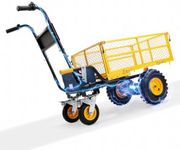 BougeRV Electric Utility Cart, 660L
