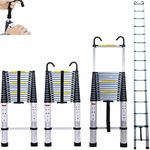 5M Telescopic Ladder with hooks, 16