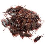 100PCS Halloween Prank Fake Roaches- Favorite Trick Joke Toys Look Real-Scary Insects Realistic Plastic Bugs- Novelty Cockroach for Party, Christmas, Halloween (Brown-Prank Fake Roaches)