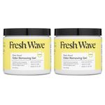 Fresh Wave Lemon Odor Removing Gel, 15 oz. | Pack of 2 | Safer Odor Absorbers for Home | Natural Plant-Based Odor Eliminator | Every 15 oz. lasts 30-60 Days | For Cooking, Trash & Pets