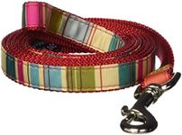 Medium Red/Multi Stripe Dog Leash: 