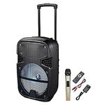 AW 1200W Portable 12Inch Active PA 