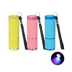 Daisypower 3pcs LED Flashlight,Colorful Mini Glow Flashlights UV Lamp for Nail Art Dryer/Camping/Hiking