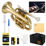 Glory Bb Pocket Trumpet with Case, Tuner, Slide Grease,Cleaning Cloth, Gloves, Gold Lacquer (LAQUER)