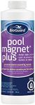 BioGuard Pool Magnet Plus (946 ml) 