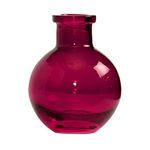 Ivy Lane Design A91212/BER 5 Pack Transparent Glass Vases, 3.5",Berry