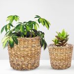 Wicker Basket For Plants