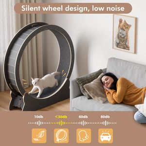 Mondeer XL Cat Exercise Wheel – Large Indoor Running Wheel for Cats