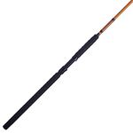 Catfish Special Spinning Rod 10'