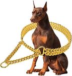 Gold Dog Collar Chain Stainless Ste