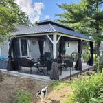 PURPLE LEAF 12' X 20' Hardtop Gazeb