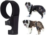 Dog Knee Brace Support for Relieves Joint Pain，Dog Back Leg Braces for Torn Acl Hind Leg Adjustable Leg Support Bracket Universal Dog Knee Brace for Four Legs Reduce Joint Pain and Muscle Sore(Large)