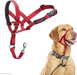 Halti Dog Training Headcollar, Red