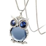 HSQYJ TULIP LY Women's Lucky Owl of Night Pendant Necklace and The Night Guardians Long Sweater Chain Owl Pendant Necklace Lovely Animal Pendant Necklace (Grey, Platinum plating)