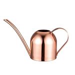 IMEEA Watering Can Indoor Stainless Steel Watering Can for Indoor Plants 15oz/450ml (Rose Gold)