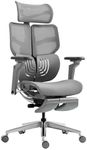 HINOMI X1 High-end Ergonomic Office Chair with 3D Adjustable Lumbar Support/ 4 Panel Backrest/ 6D Armrest and Legrest (Grey, Large)