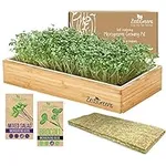 ZESTIGREENS Microgreens Growing Kit
